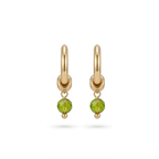 Laghu Earring